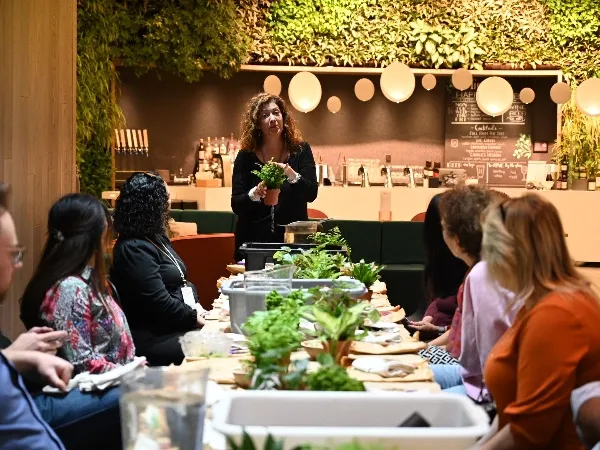 12. Kokedama Creating: TeamBuilding Workshop