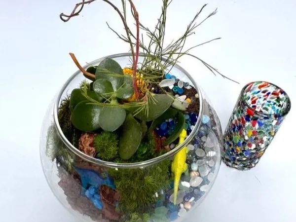 10. Terrarium & Sip Workshop (San Mateo Venue)