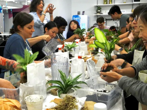 Team building activity in San Francisco