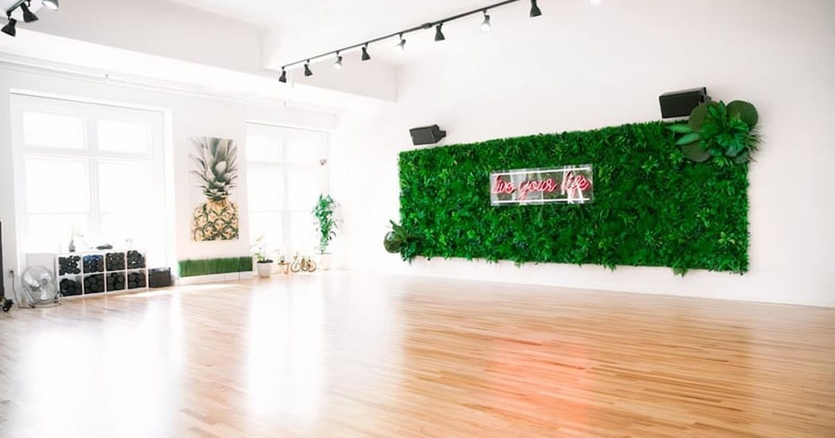 Bright white San Francisco dance studio with light wood floors, track lighting and a green plant wall