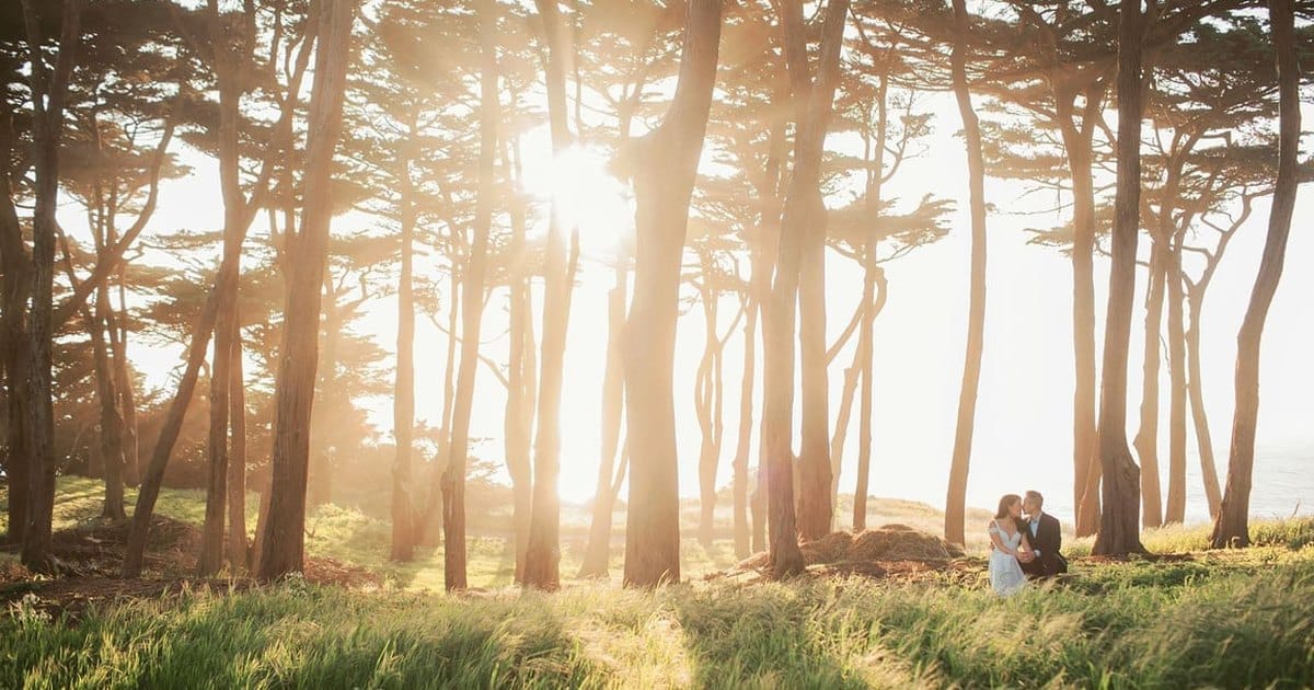 Elopement couple in wedding clothes sitting in tall grass beneath backlit cypress trees near the ocean