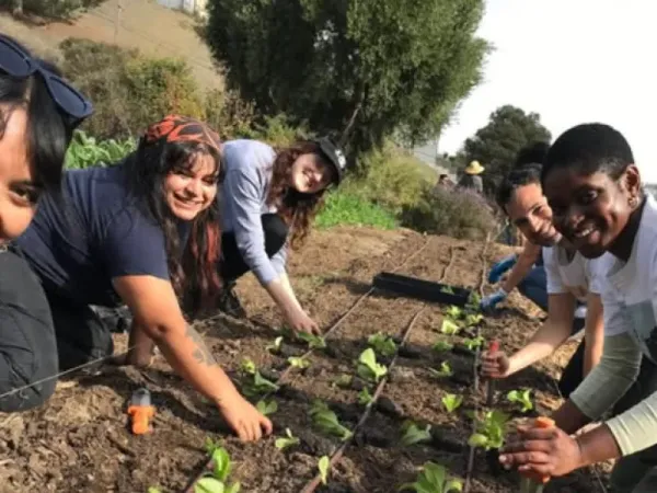 Charity Team Building SF Bay Area: 6 Best CSR Activities (2026)