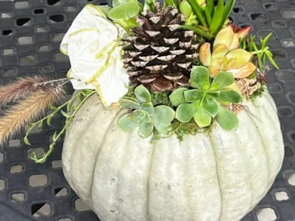 12 Best Fall Team Building Activities in SF Bay Area (2026)