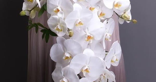 Cascading white orchid bridal bouquet from a San Francisco florist, held in front of a floor-length dress