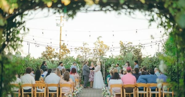 Small outdoor micro wedding ceremony in a Bay Area garden, guests seated in wooden folding chairs, framed by a leafy arch
