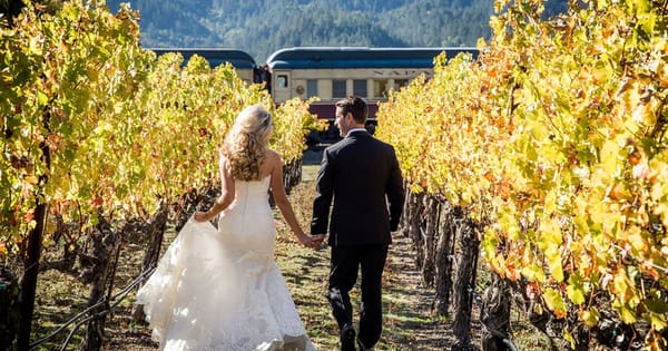 Bride and groom walking hand in hand between rows of golden autumn grapevines, from a Napa wedding photography package