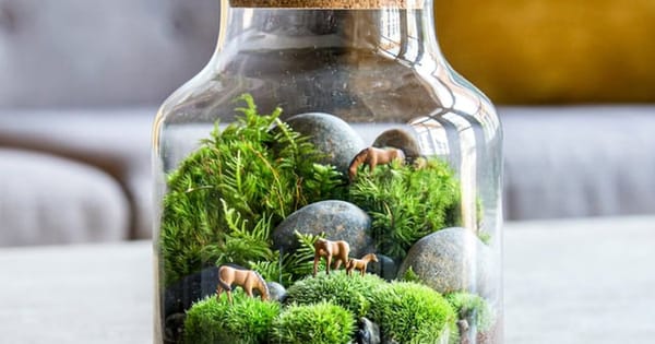 Cork-topped glass terrarium with moss, stones and tiny animal figurines from a San Francisco terrarium team workshop