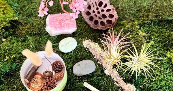 A desktop forest kit laid out on moss: air plants, pine cones, a seed pod and a stone engraved with the word breathe