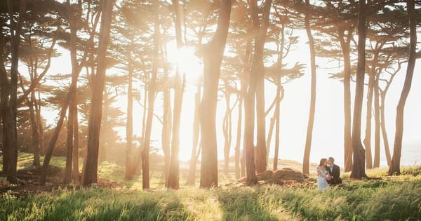 Elopement couple in wedding clothes sitting in tall grass beneath backlit cypress trees near the ocean