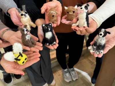 Needle-Felting Workshop, Travels to You – Experiences