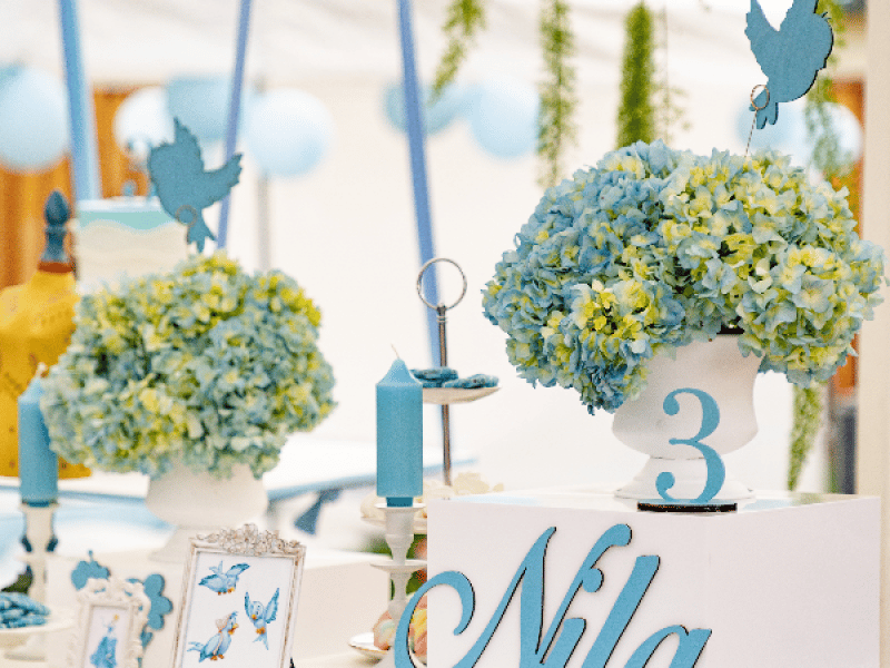 Evening Magic: Cinderella-Themed Fairytale Event Package – Experiences