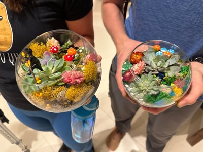 Dig In: Make Your Own Succulent Terrarium – Experiences