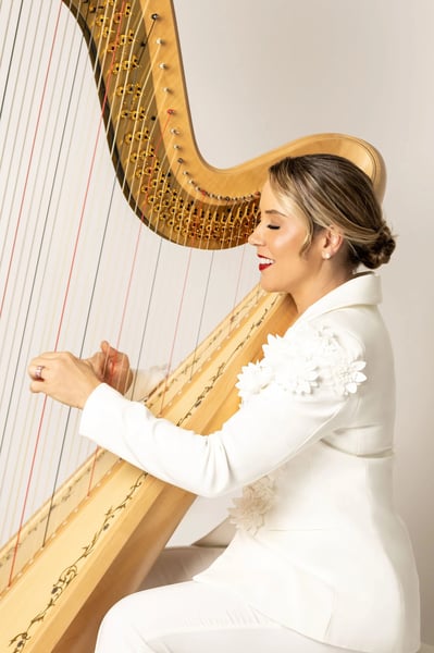 Live Harp Music for Wedding Ceremonies and Cocktail Receptions – Bands – photo 4