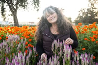 Vendor profile