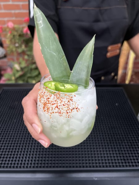 Mobile Cocktail Bar with Bartender and Two Signature Drinks – Bar Services – photo 3