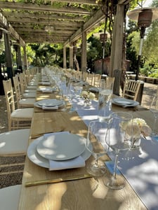 Paradise Buffet With Seabass, Filet Mignon And Pasta Bar – Catering
