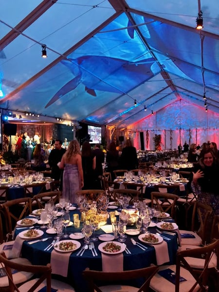 Event Table Rentals Priced Per Table for Dinners and Receptions – Rentals – photo 4