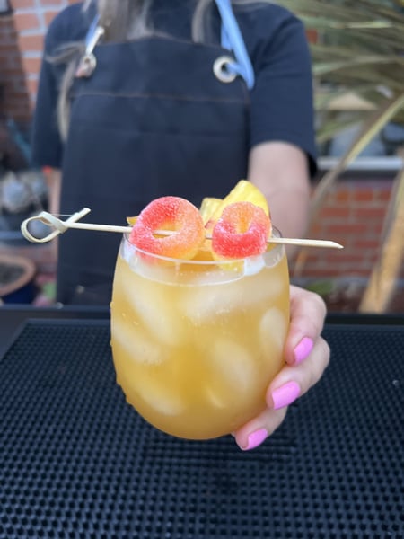 Mobile Cocktail Bar with Bartender and Two Signature Drinks – Bar Services – photo 4