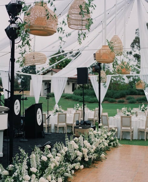 Live Ceremony Music with Strings, Harp, Guitar and Soloists – Bands – photo 3