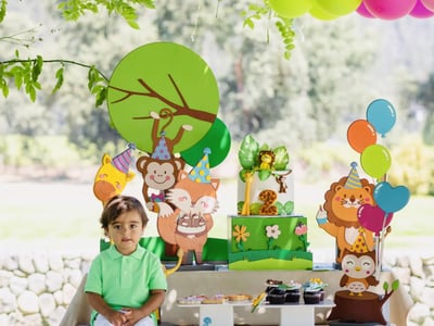 Jungle Animal Birthday Theme – Experiences