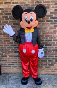 Costumed Mascot Performer for Birthday Parties – Entertainers