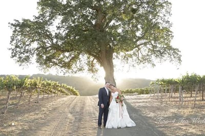 Elopement Wedding Videographer Cinematic Four Hour Coverage – Videography