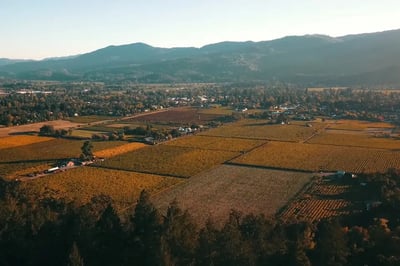 Wedding Videographer Cinematic Six Hour Drone Standard Films – Videography