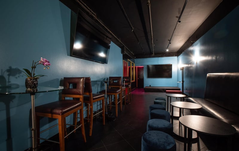 Private Karaoke Room with Full Bar, LED Lights and Multiple Mics – Venues in San Francisco – photo 3