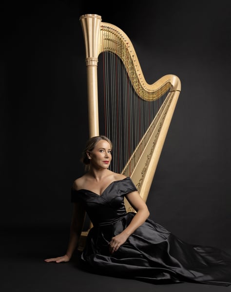 Live Harp Music for Wedding Ceremonies and Cocktail Receptions – Bands – photo 2