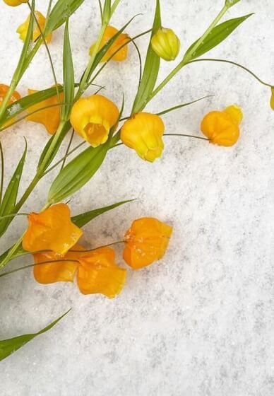 Advanced Floral Design Workshop for Team Building – Experiences in Los Altos – photo 2