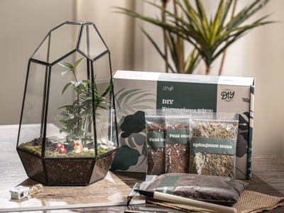 Wardian Case Terrarium Workshop – Experiences
