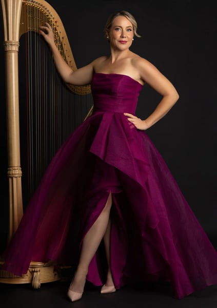 Live Harp Music for Wedding Ceremonies and Cocktail Receptions – Bands – photo 3