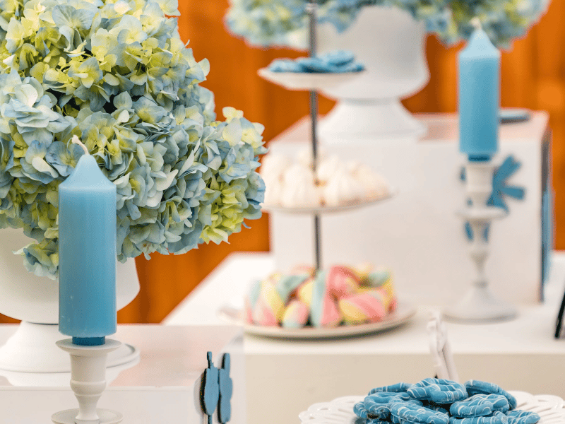 Evening Magic: Cinderella-Themed Fairytale Event Package – Experiences – photo 2