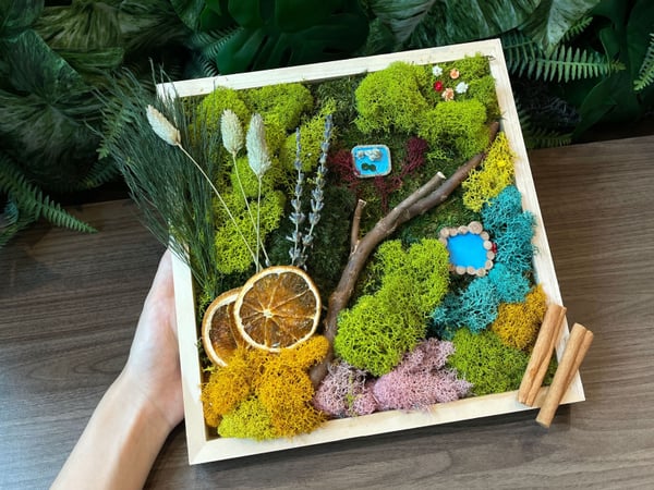Virtual Moss Wall Workshop – Experiences