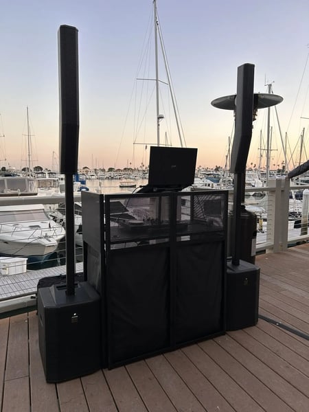 Wedding Ceremony Plus 4 Hour DJ Service with Live Saxophone – DJs – photo 2