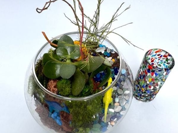 Terrarium & Sip Workshop: Tequila or Wine Edition – Experiences in San Mateo