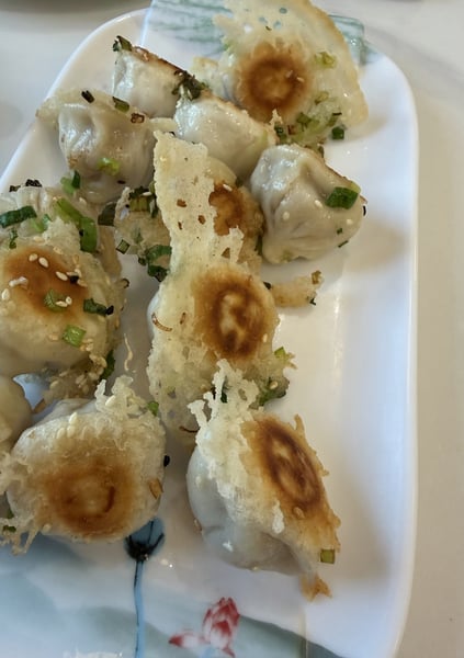 Handmade Dumpling Catering with Vegetarian, Pork and Chicken – Catering – photo 2