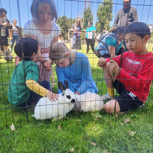 Mobile Petting Zoo for Kids Birthday Parties and Family Events – Entertainers