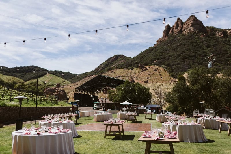 Event Chair Rental for Weddings, Ceremonies, Parties and Dinners – Rentals – photo 2