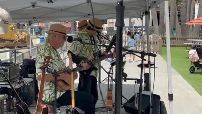 Hawaiian Style Musicians for Luau Parties and Wedding Events – Bands
