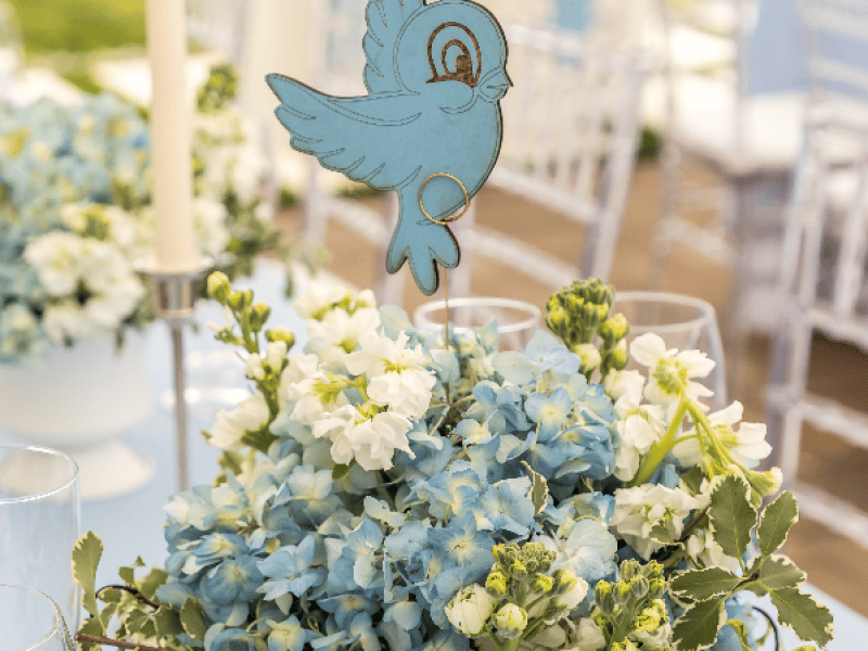 Birthday Party Decoration: Blue Garden – Decoration – photo 3