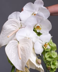 Cascading White and Green Bridal Bouquet with Anthuriums – Florists