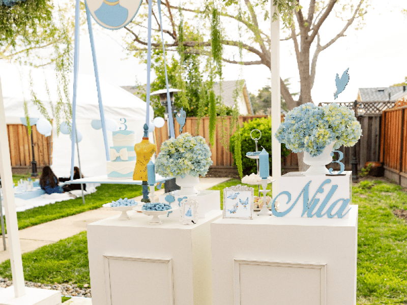 Birthday Party Decoration: Blue Garden – Decoration