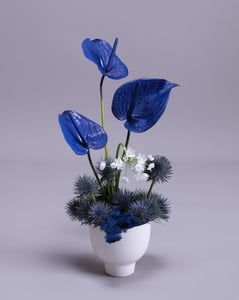 Celestial Blue Anthurium Arrangement Set of Two with Thistle – Florists