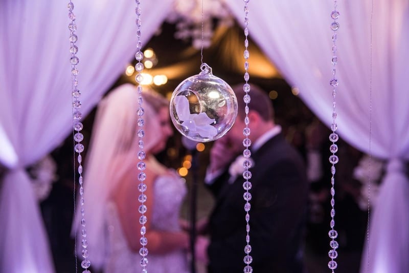 Wedding Reception DJ with MC, Microphones and Consultation – DJs – photo 4