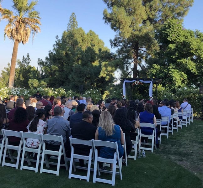 Five-Hour Wedding DJ and MC with Uplighting and Ceremony Audio – DJs – photo 3
