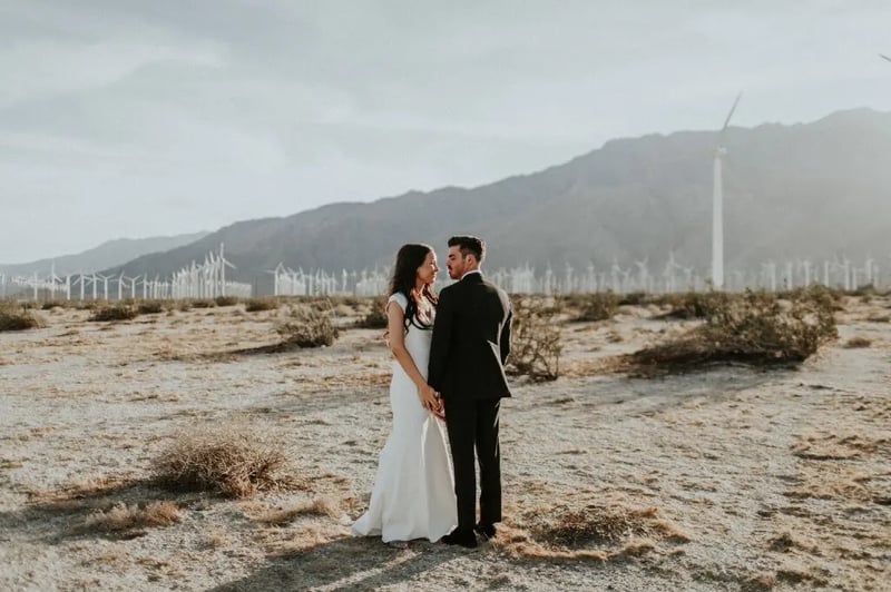 Partial Wedding Planning with Budget Analysis and Timelines – Planners – photo 2