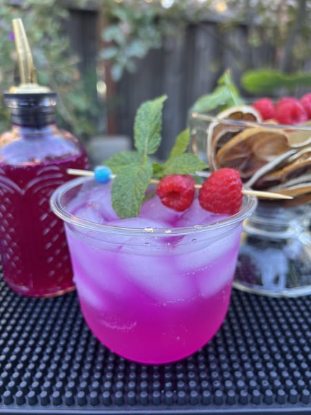 Mobile Bar with Three Signature Drinks and Infused Water Station – Bar Services – photo 3
