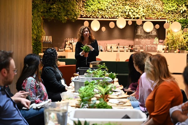 Kokedama creating: TeamBuilding Workshop – Experiences