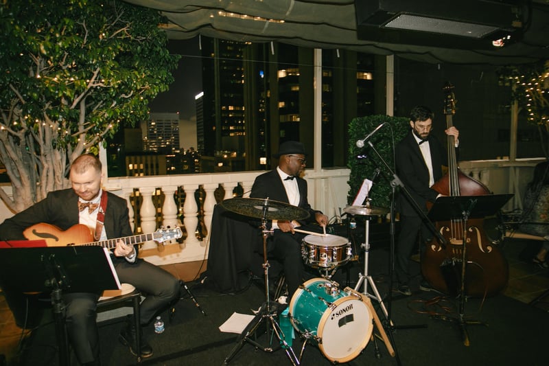 Four Hour Wedding Reception DJ Set with PA and Two Microphones – DJs – photo 4